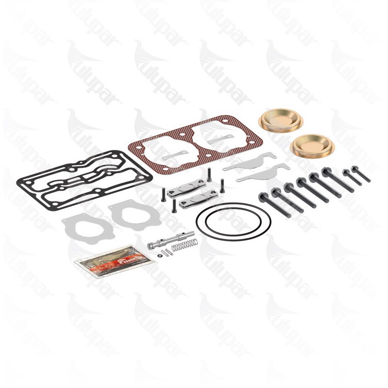 1100010750 - Repair Kit, Air Compressor 