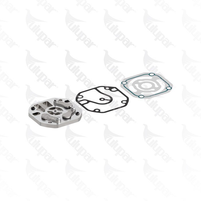 1100075650 - Valve Plate Kit, Air Compressor 