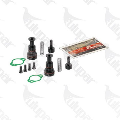 ESS Piston Kit, Air Compressor  - 1400050310