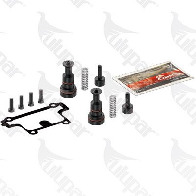 ESS Piston Kit, Air Compressor  - 1700120310