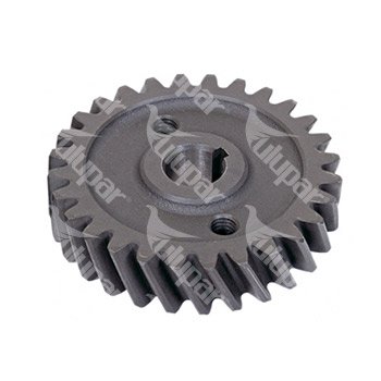 Gear, Oil Pump Küçük - 40120011021