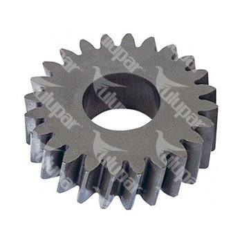 Gear, Oil Pump Küçük - 40120011038