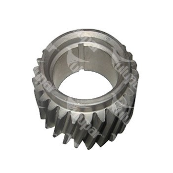 Gear, Crankshaft  - 50140011003