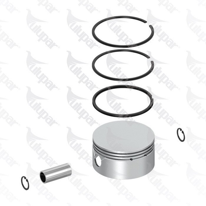 Kompresör Piston & Segmanı Ø100,00mm (STD)  - 7000101100