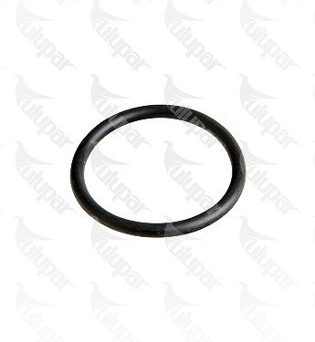 O-ring, Caliper BPW TYPE TSB3709-4309-4312 Series - 20048902