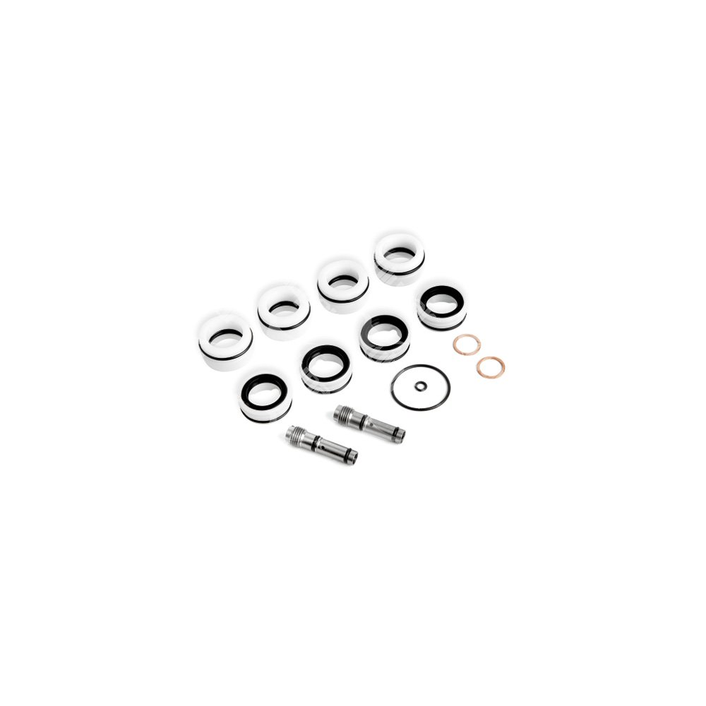 Repair Kit, Gear Lever Actuator  - 30311001001