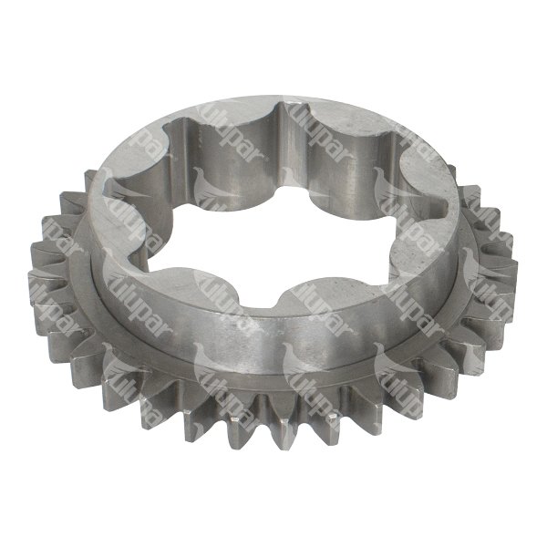 Gear, Oil Pump  - 20102066113