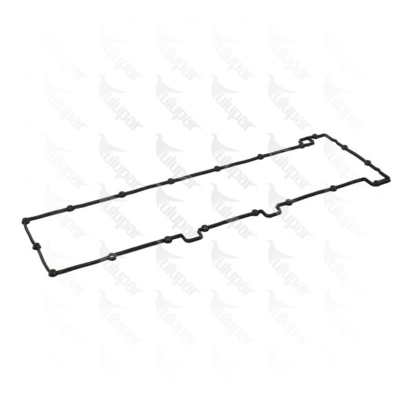 Valve cover gasket  - 1010471119