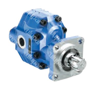 16300170366 - Gear Pump 30 Groups ( ISO ) 17 LT / CW 230 - 250 BAR / 163,5 mm / 114 mm