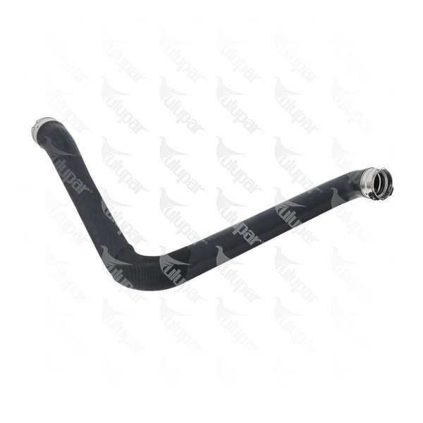 Radiator Hose / Upper  - 1010934009